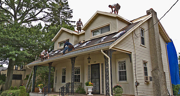 Best Flat Roof Repair Services  in Mahnomen, MN